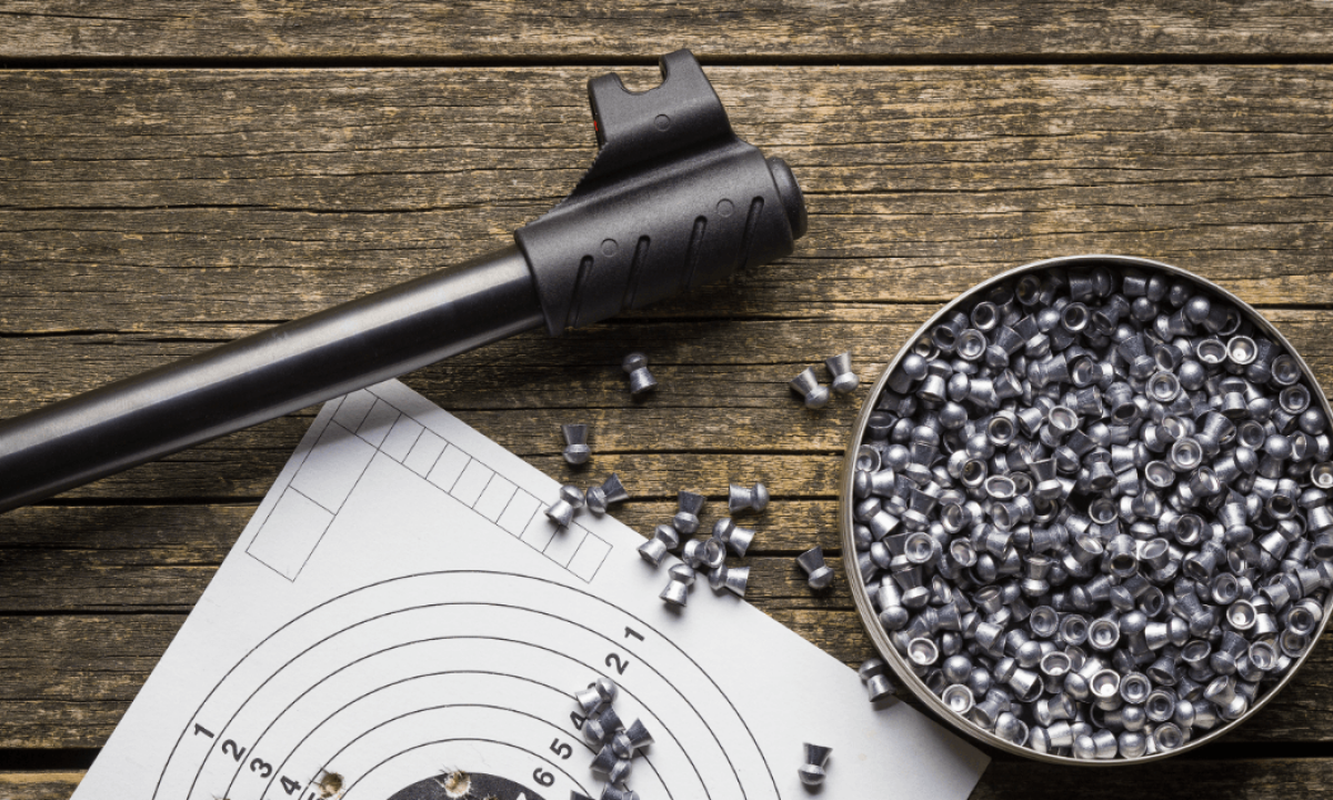 Introduction To Pellet Guns And Coyote Control